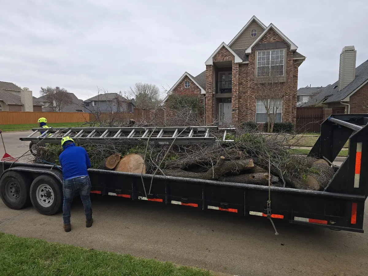 Expert Tree Fertilization with proper safety equipment in Junction City